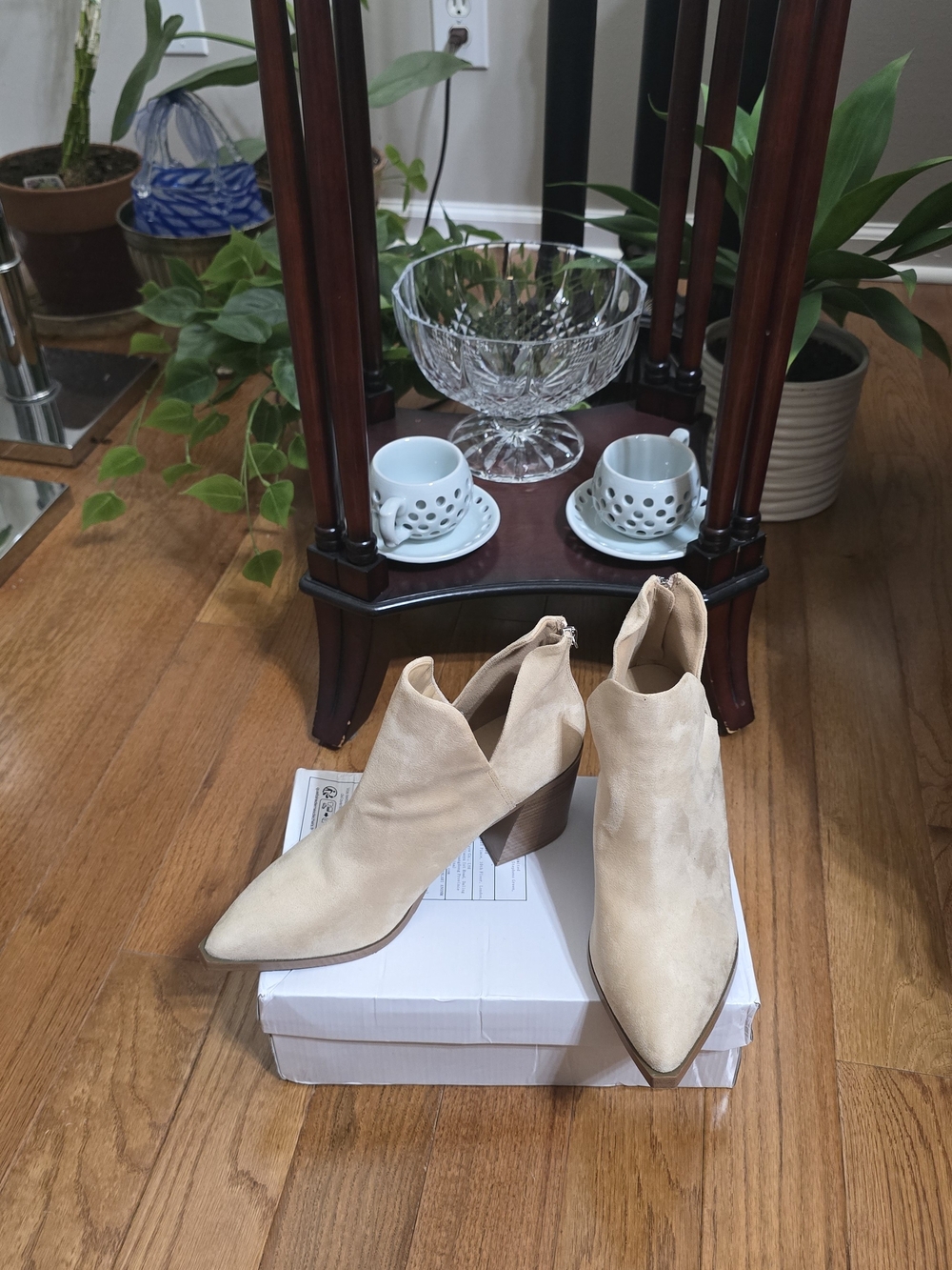 Pointed Suede Ankle Booties in Beige